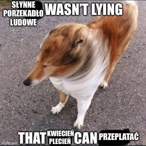 Kwiecień plecień nie kłamał