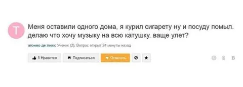 Один дома и музыка на всю катушку