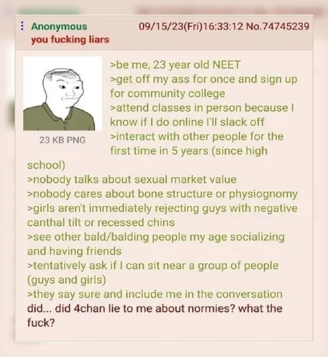 4chan Lied About Normies