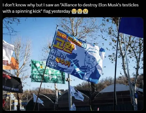 Spinning Kick Alliance Flag