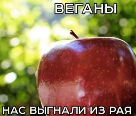 Веганы выгнали нас из рая