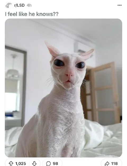 I Feel Like He Knows