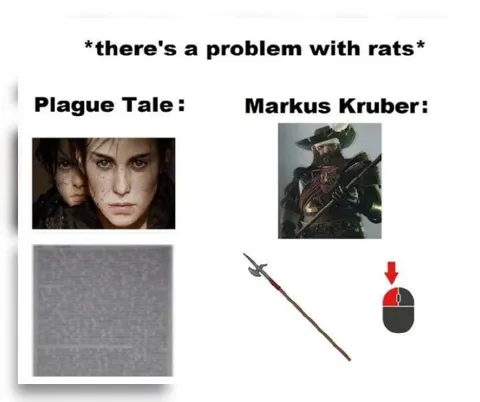 Different Solutions to Rat Problems