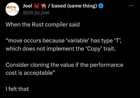 Rust Compiler Emotional Damage