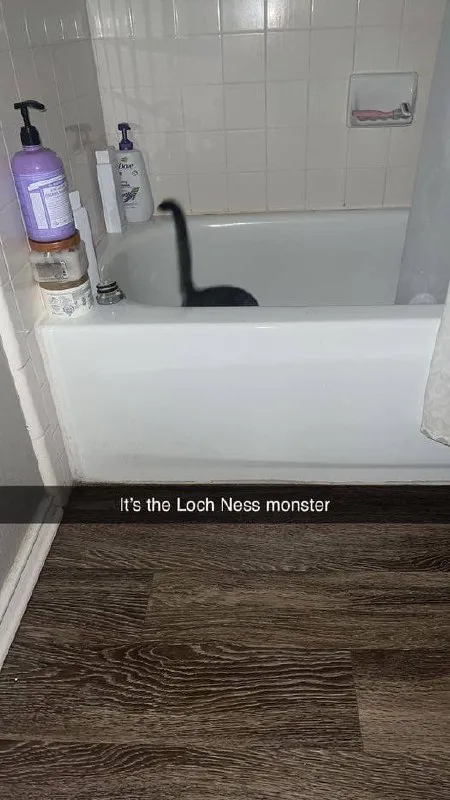 Loch Ness Monster in the Bathtub
