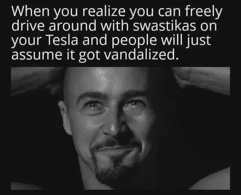 Tesla Swastika Vandalism Loophole