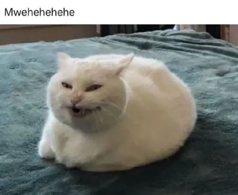 Mwehehehehe Laughing Cat
