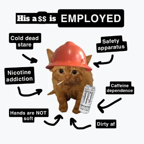 Employed Cat With No Soft Hands