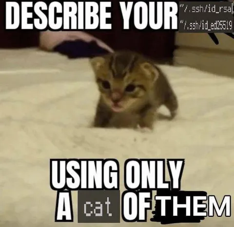Describe Your Cat Using Only One