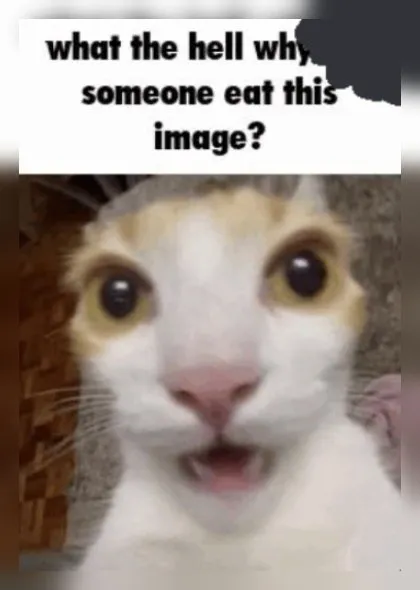 Why Did Someone Eat This Image