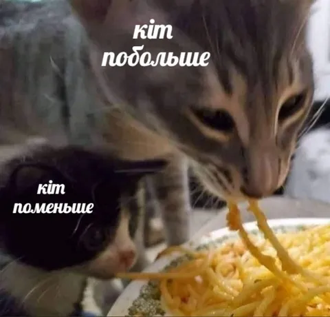 Ким побольше, ким поменьше