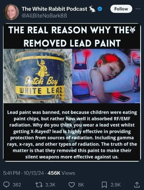 The Real Reason Lead Paint Was Removed