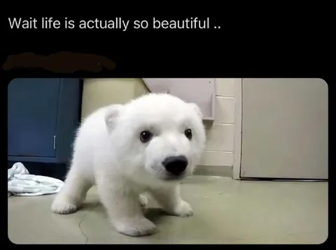 Life Is Actually Beautiful