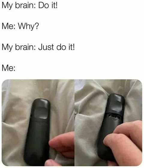 My Brain Says Do It