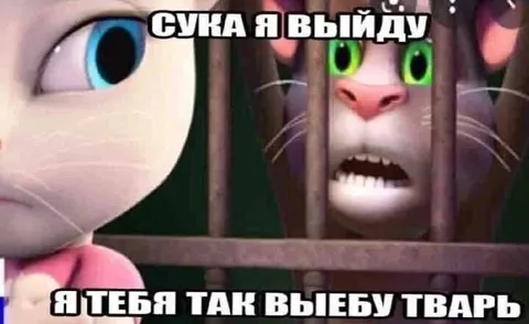 Сука я выйду