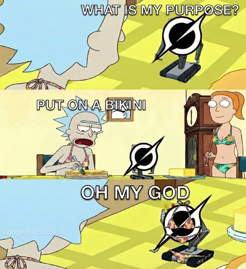 What Is My Purpose Bikini