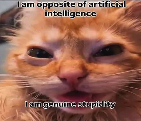 Genuine Stupidity Cat