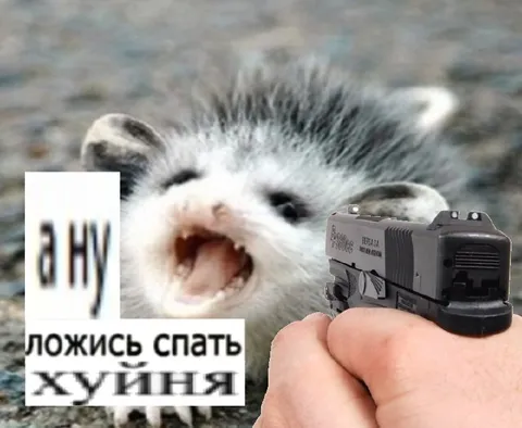 Я ИУ, ложись спать