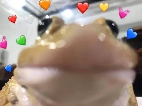 Лягушка с сердечками
