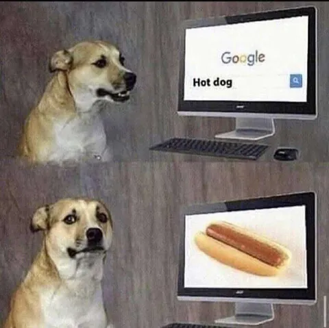 Dog Discovers a Hot Dog