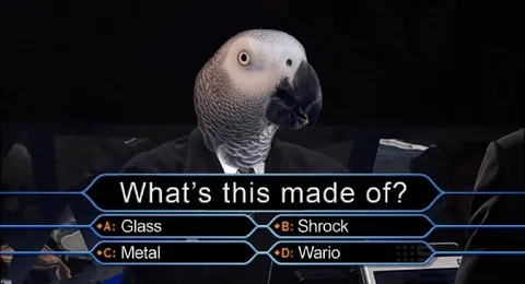 Parrot Millionaire Quiz