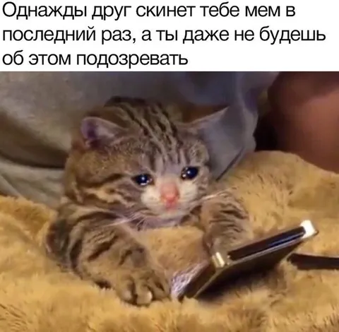 Друг скинул мем в последний раз