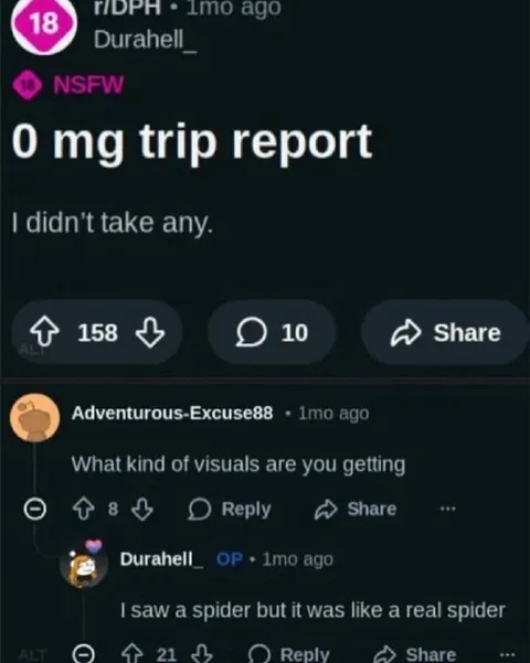 0 mg Trip Report Spider