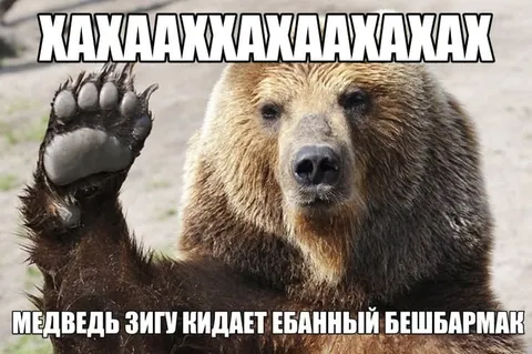 Медведь кидает бешбармак