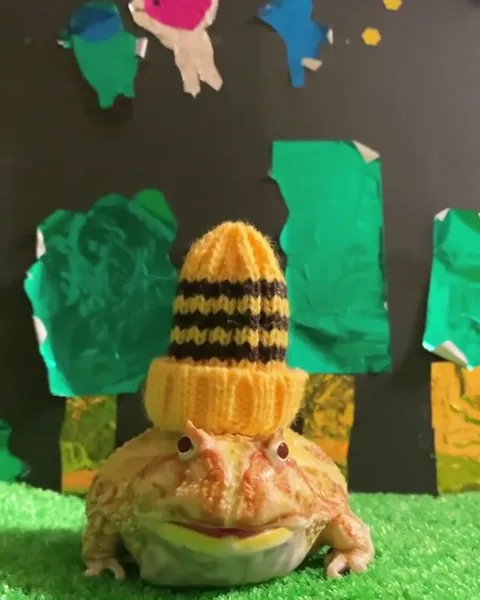 Жаба в шапке из кукурузы