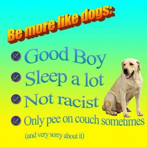 Be More Like Dogs