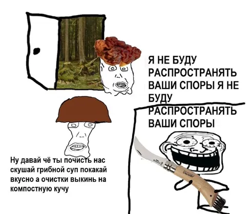 Грибной суп и споры