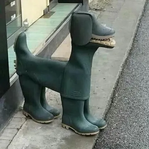Сапоги в форме собаки
