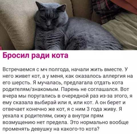 Бросил ради кота