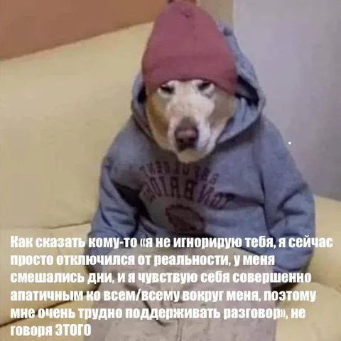 Отключился от реальности