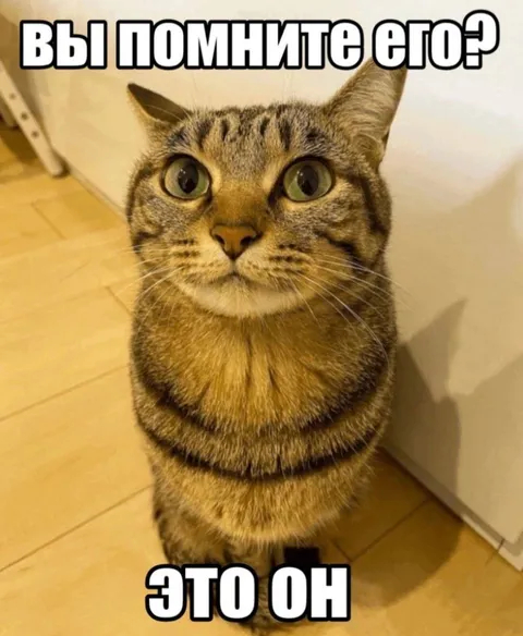 Вы помните его? Это он