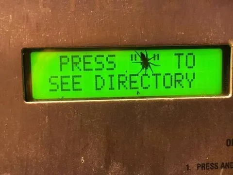 Dead Bug Blocks the Directory