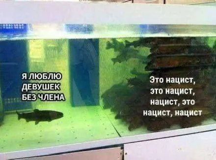 Рыбка обвиняет нациста