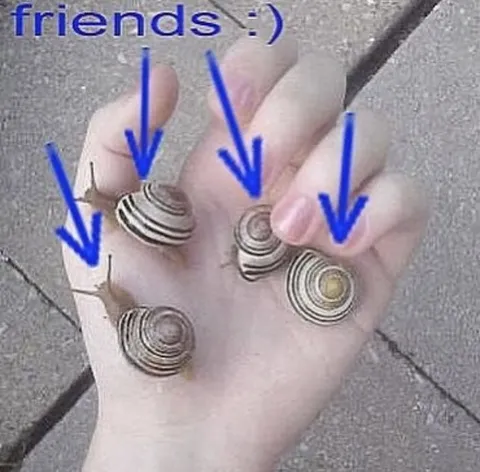 Friends on Every Finger