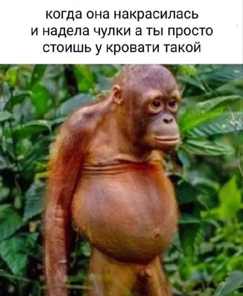 Когда она нарядилась