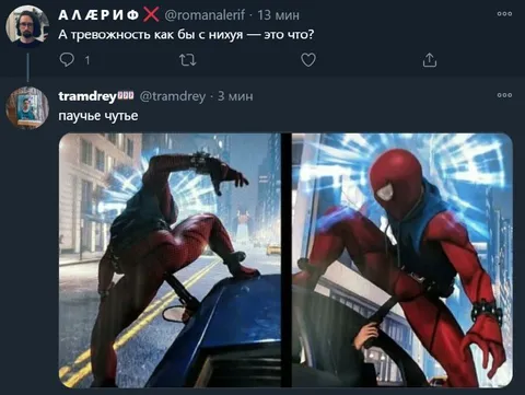 Тревожность — это паучье чутьё