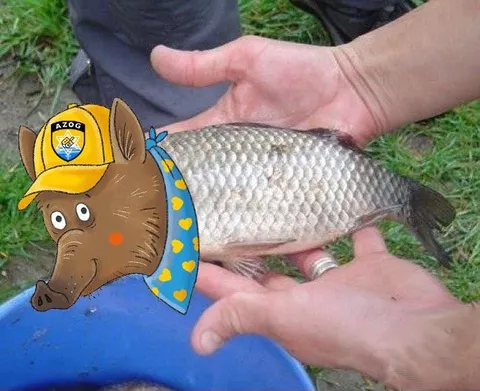 Cartoon Character Holding a Fish