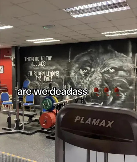 Are We Deadass at the Gym