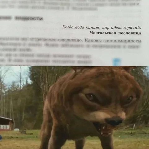 Монголская пословица про кипяток