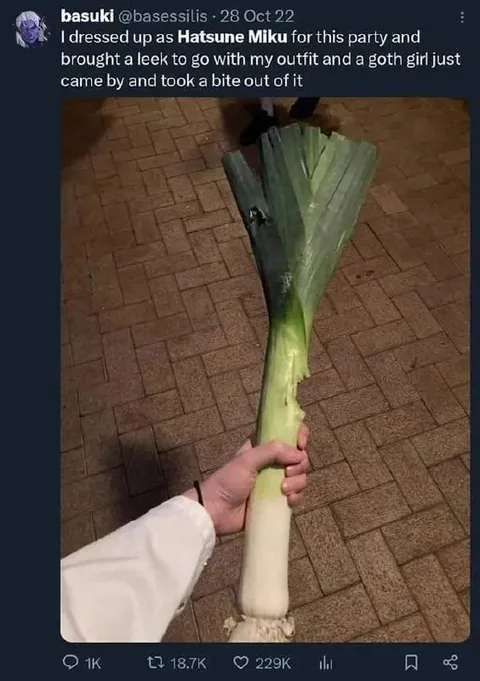 Hatsune Miku Leek Costume
