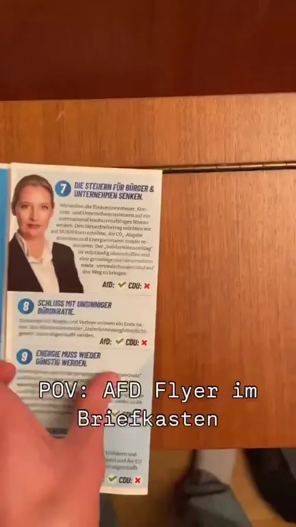 AfD-Flyer im Briefkasten