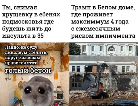Хомяк и Белый дом