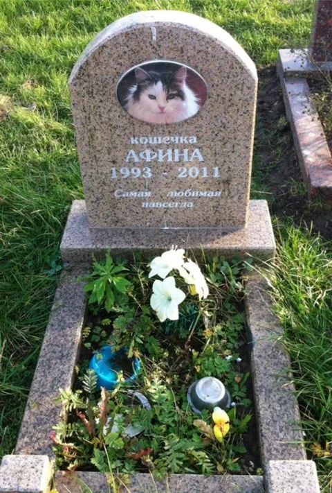 Могила кошечки Арины
