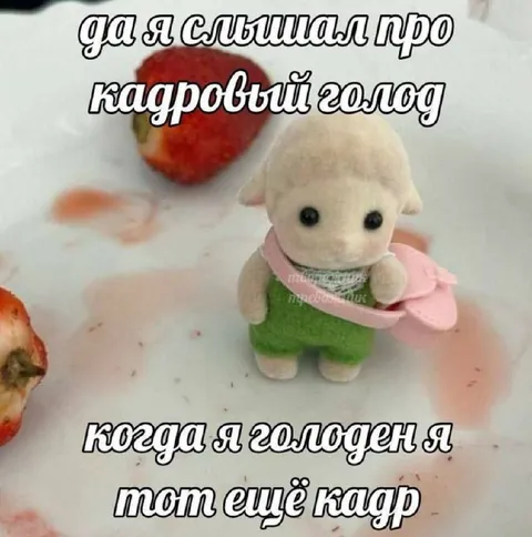 Кадровый голод у овечки