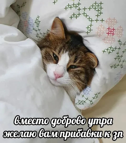 Прибавки к зарплате вместо доброго утра