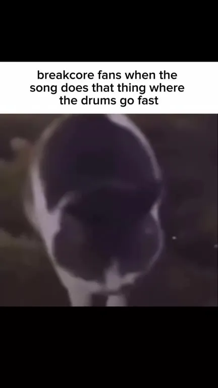 Breakcore Cat Headbanging